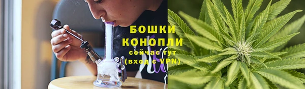 трава Новозыбков