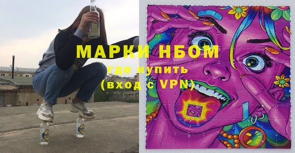 трава Новозыбков