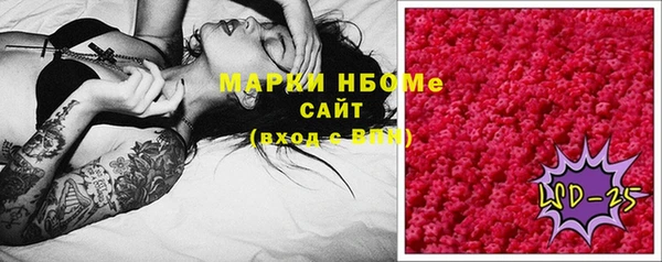 трава Новозыбков