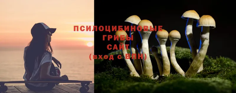 наркошоп  Алушта  Псилоцибиновые грибы Cubensis 