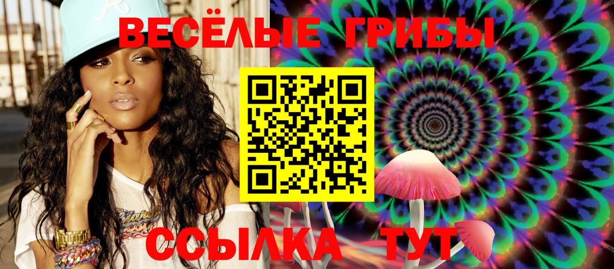 Галлюциногенные грибы Psilocybe Алушта