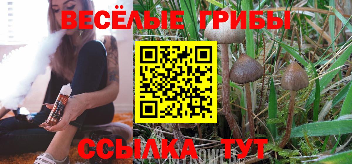 Галлюциногенные грибы Psilocybe  Псилоцибиновые грибы Magic Shrooms  Алушта  Вход с VPN 